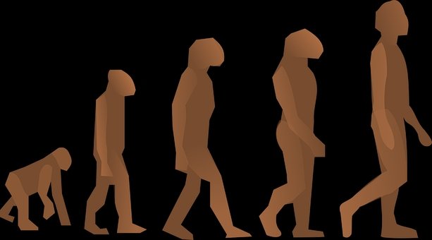 Опровергнута гипотеза об эволюции человека