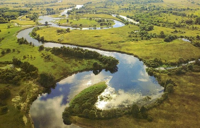 Вырубка бразильских лесов приведет к катастрофе