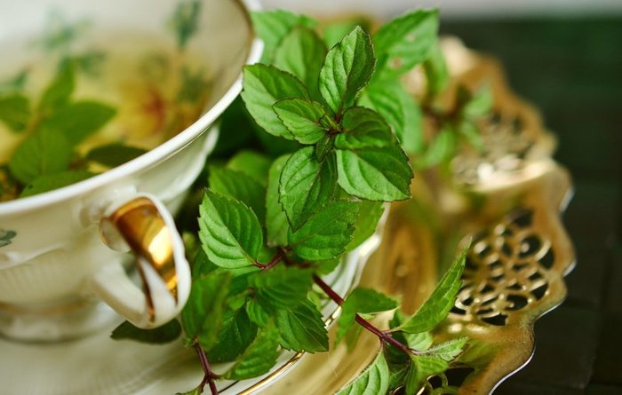 Самые популярные мифы о чае