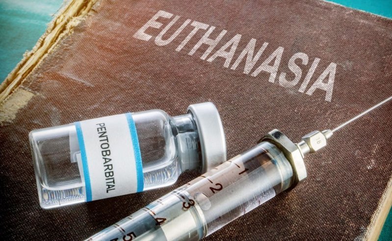 В Португалии легализировали эвтаназию