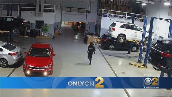 Злоумышленники опустошили дилерский центр Kia за несколько минут: видео