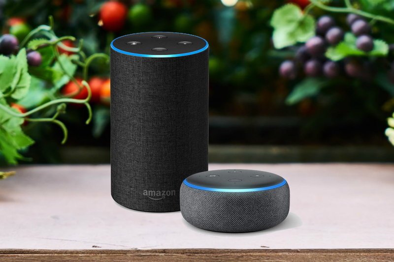 Alexa теперь умеет автоматизировать свои "предчувствия"