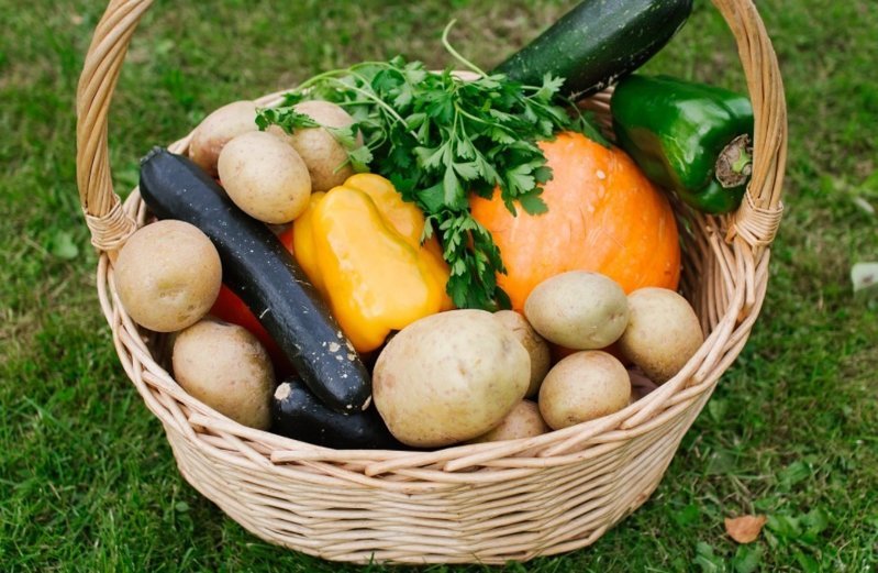 Как правильно варить картофель, чтобы было вкусно и полезно
