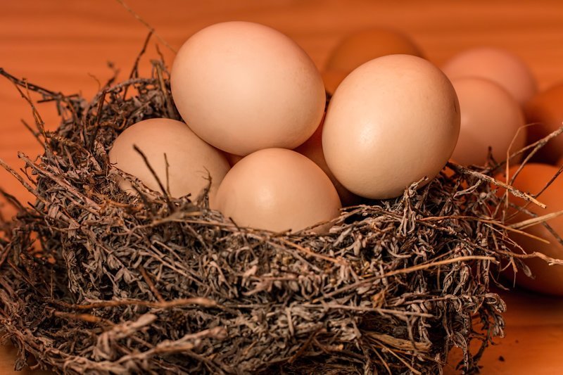 Производители мяса птицы и яиц пообещали 