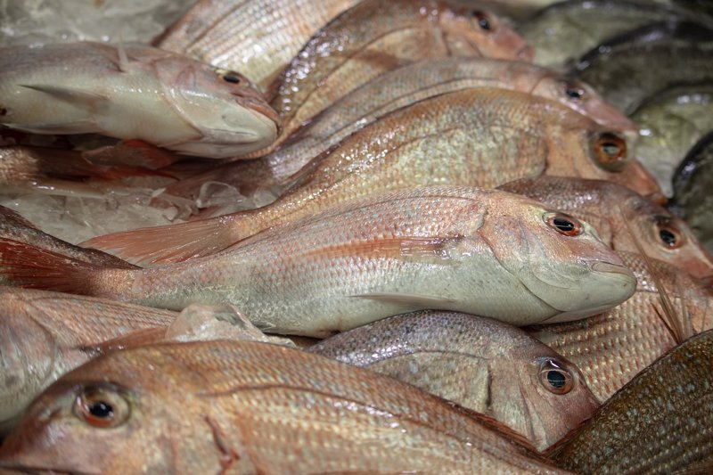 Росрыболовство хочет экспортировать больше морепродуктов