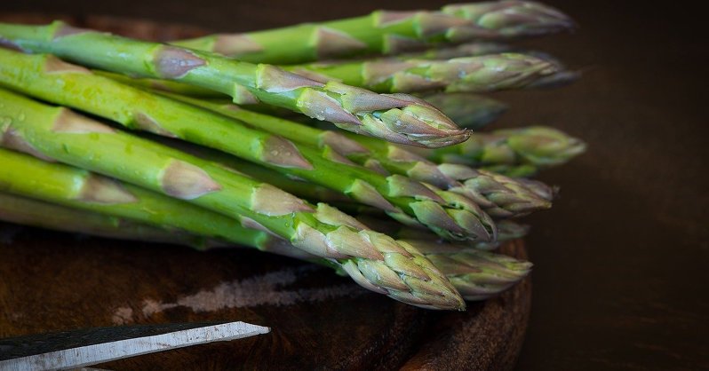 Спаржа: польза продукта, виды и применение в кулинарии