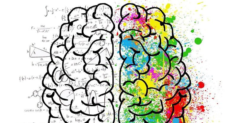 5 советов нейробиолога: Чем заменить таблетки для улучшения работы мозга