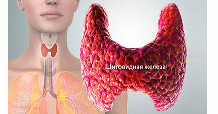4 простых способа, как проверить щитовидную железу самостоятельно