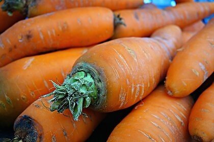 В России резко выросли цены на морковь и картофель