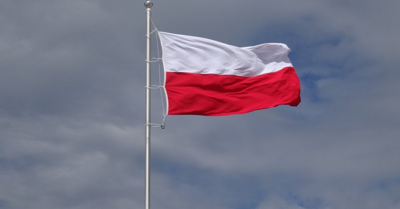 На границе Польши возросло число нелегалов из Беларуси