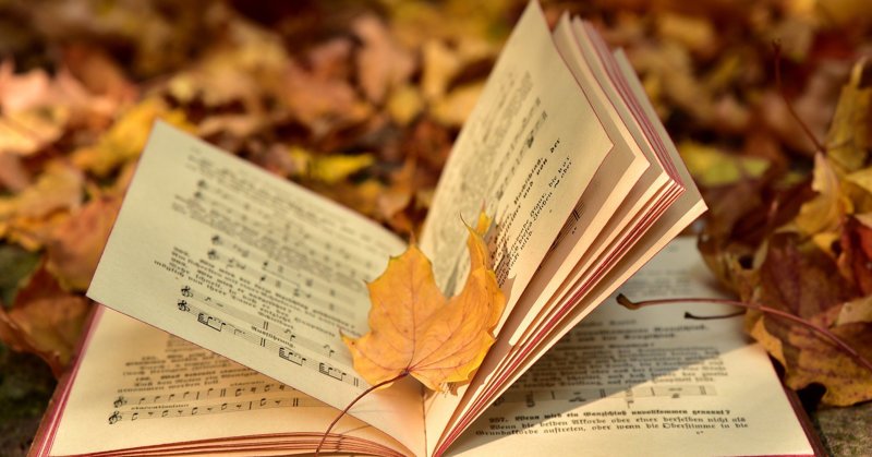 День книги: праздники и события 6 сентября