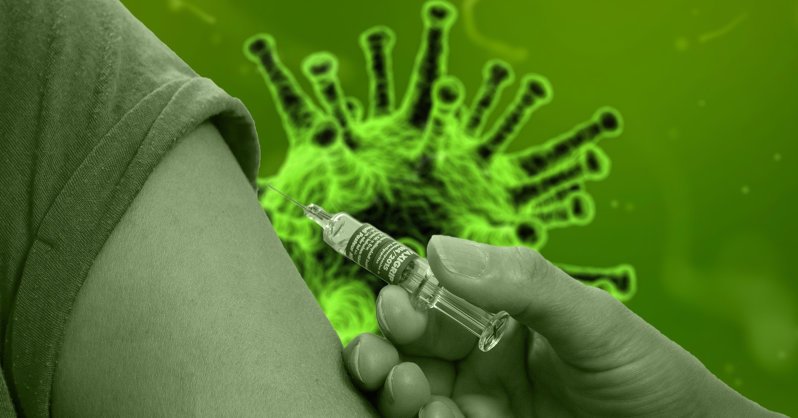Сравнение наличия антител после CoronaVac и Pfizer: исследование