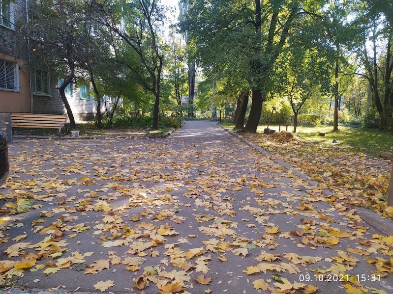 Теплый атмосферный фронт принесет непогоду в Петербург 20 октября