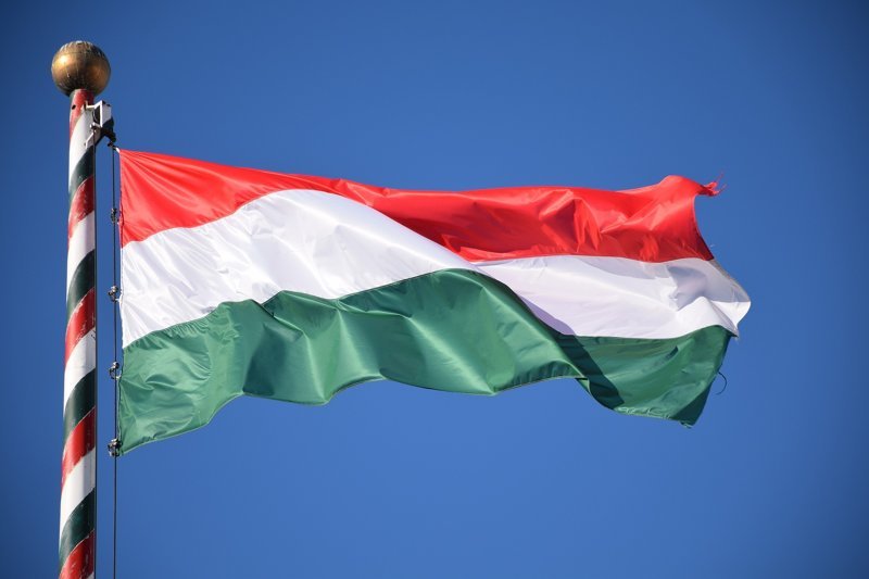 Главы МИД Сербии и Венгрии обсудили экономическое сотрудничество