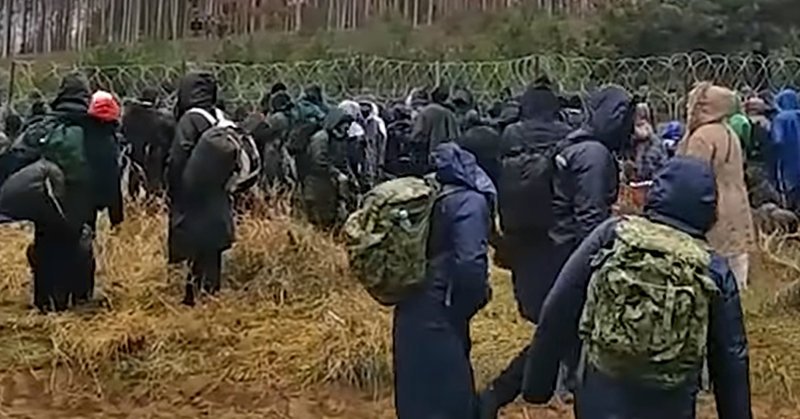 Россия готова выступить посредником в миграционном кризисе в Беларуси