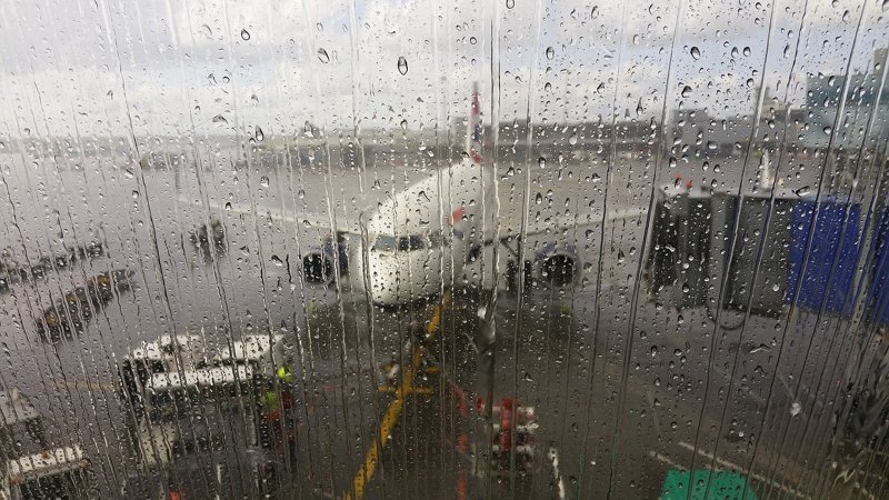 Авиасообщение между Москвой и Петербургом станет бессмысленным после запуска ВСМ