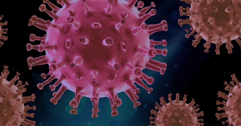 Южная Корея одобрила использование таблеток Pfizer для лечения COVID-19