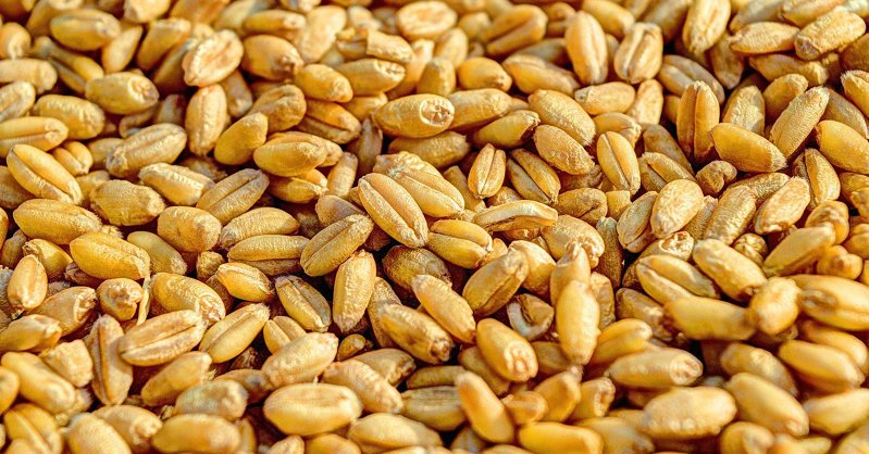 В ООН сообщили о мировом подорожании продуктов