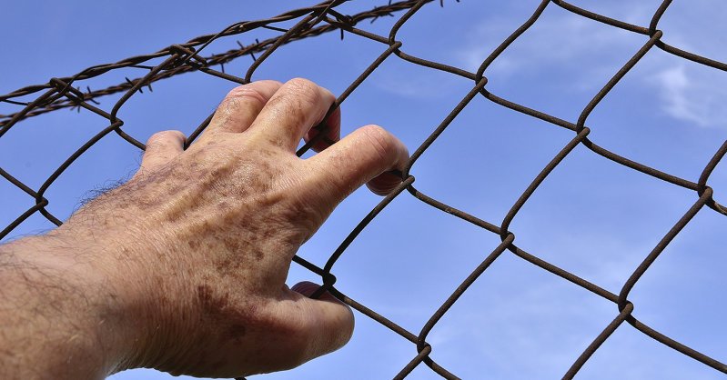 В Беларуси ввели уголовную ответственность за призывы к санкциям
