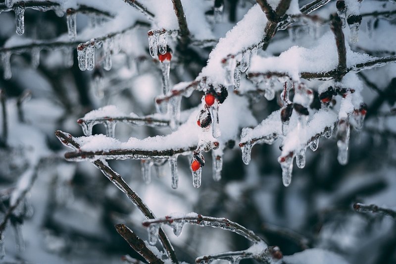 В Москве 29 марта ожидаются небольшие осадки и до +3°C