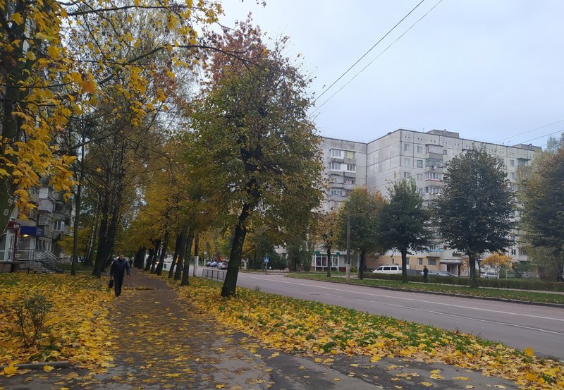 Облачно и небольшие осадки: синоптики рассказали о погоде в Москве в пятницу