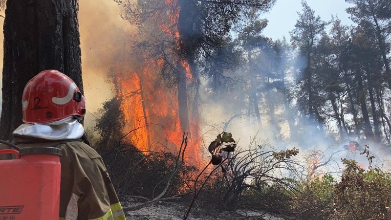 На востоке Казахстана бушуют два крупных лесных пожара