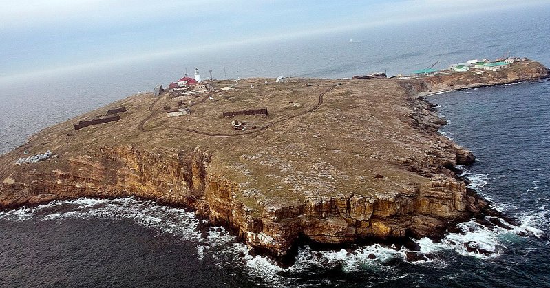Минобороны России объявило о выводе гарнизона с острова Змеиный